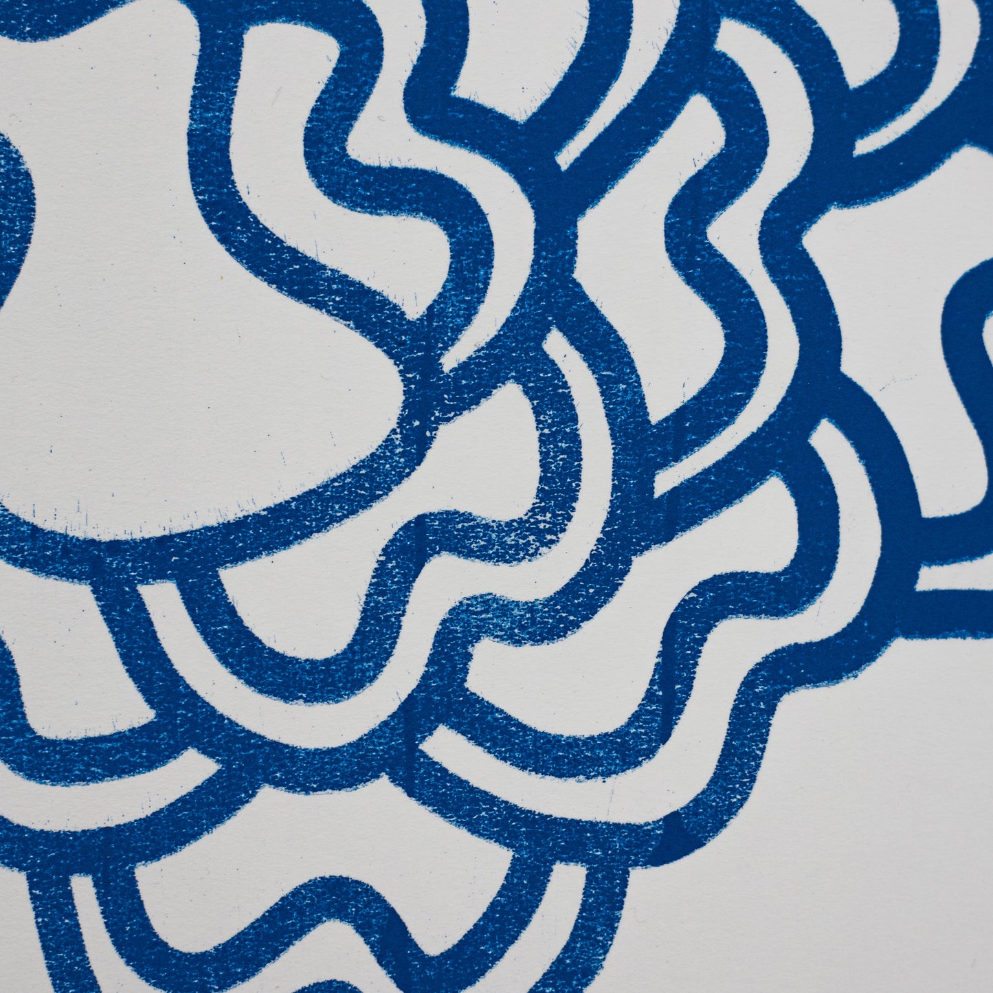 GALILLA Print (Blue)