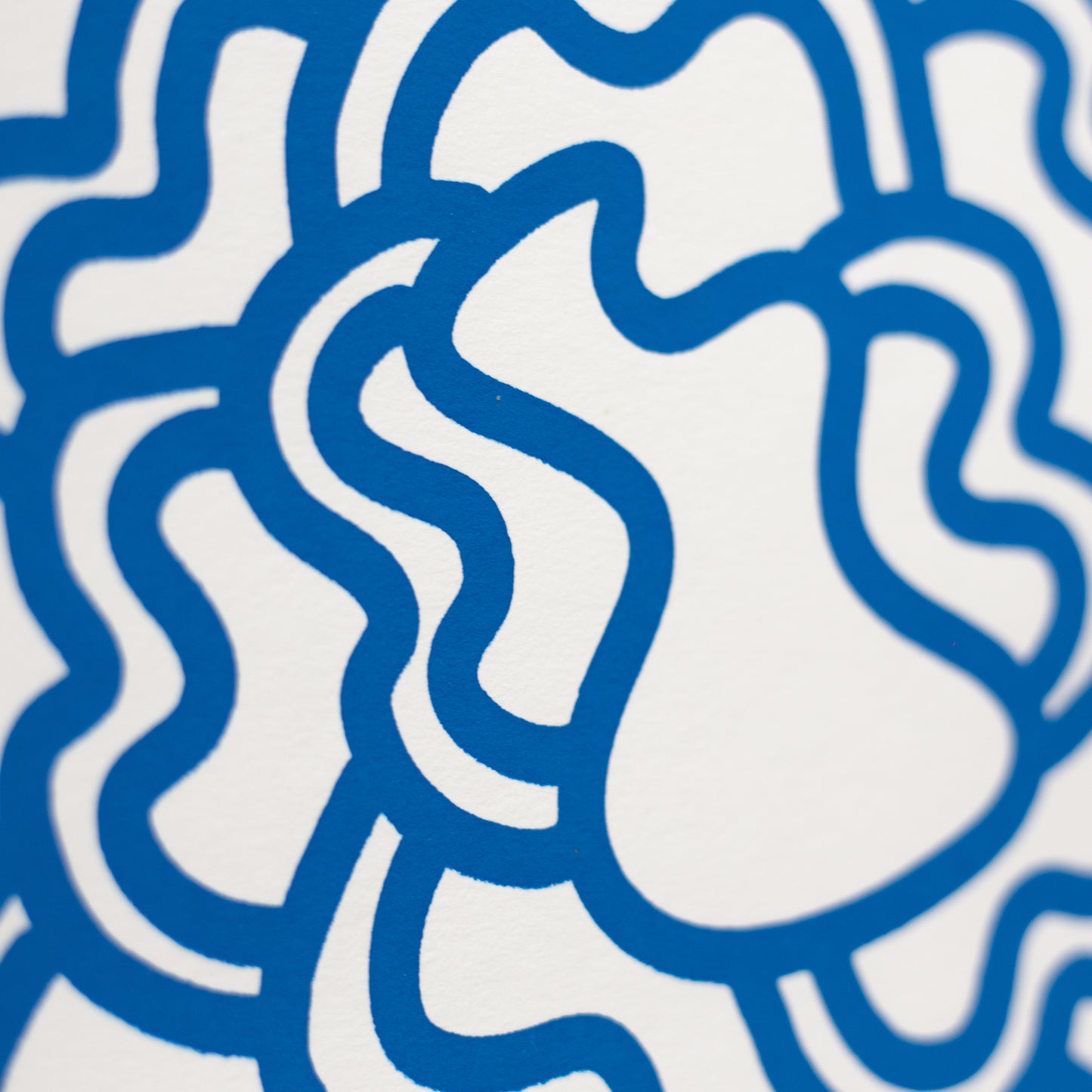 GALILLA Print (Blue)